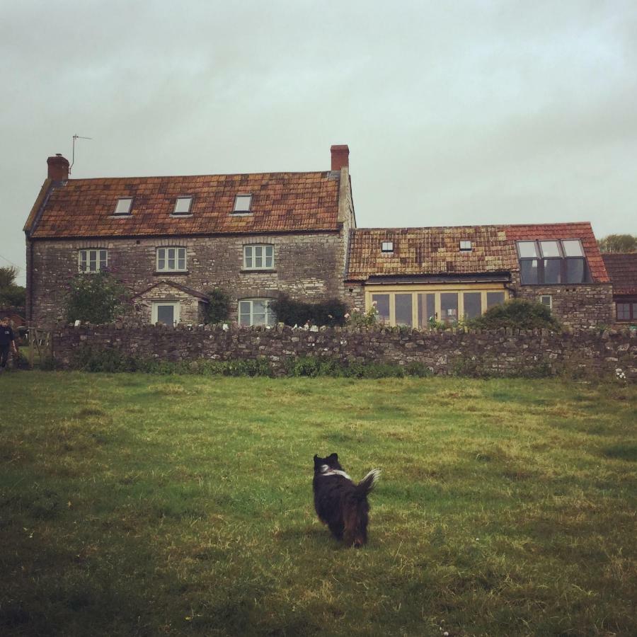 Castle Farm Bed & Breakfast Wedmore Eksteriør bilde
