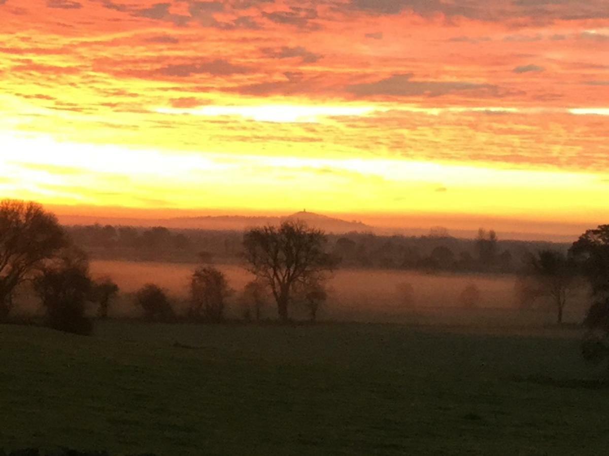 Castle Farm Bed & Breakfast Wedmore Eksteriør bilde