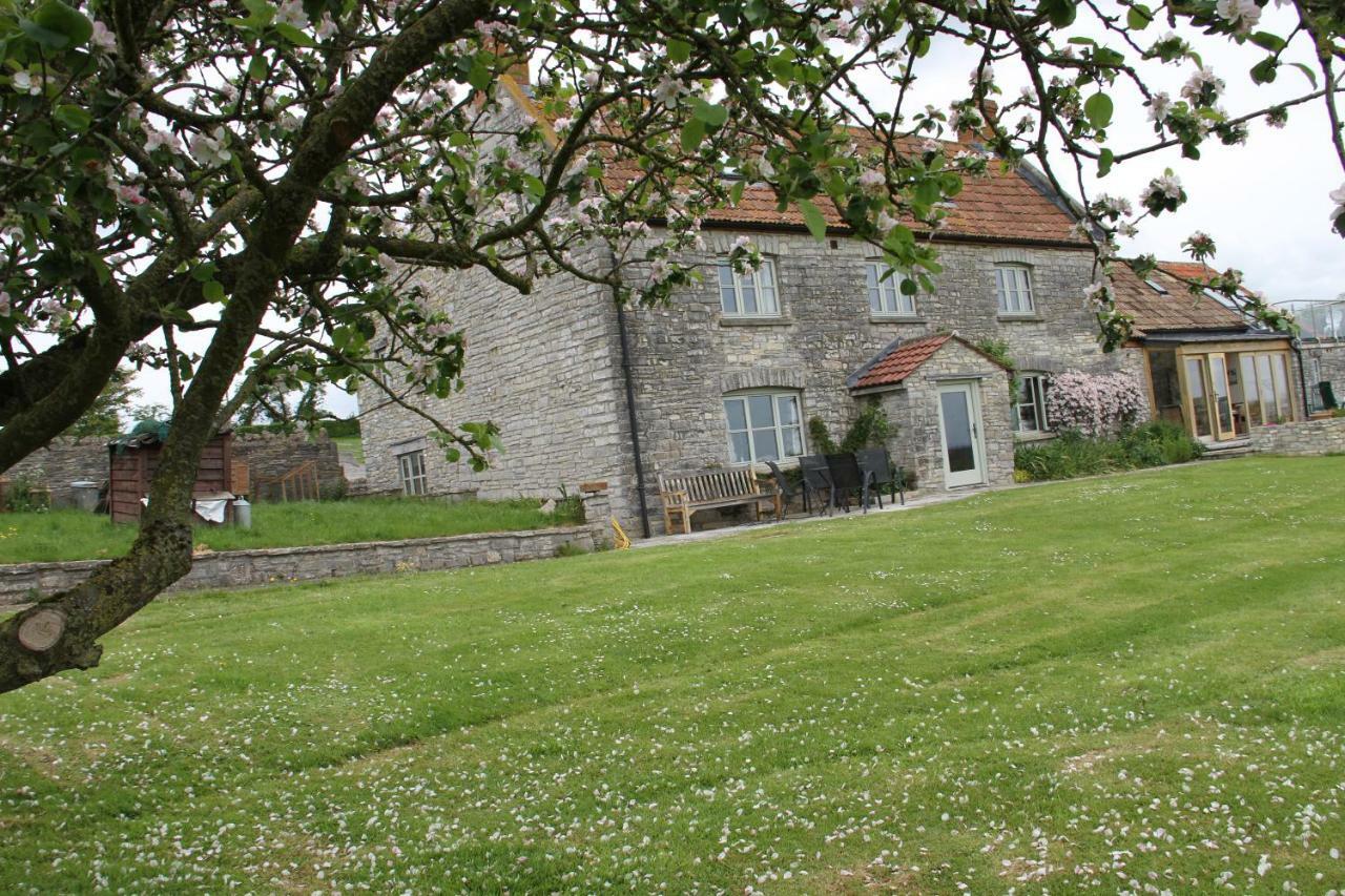 Castle Farm Bed & Breakfast Wedmore Eksteriør bilde