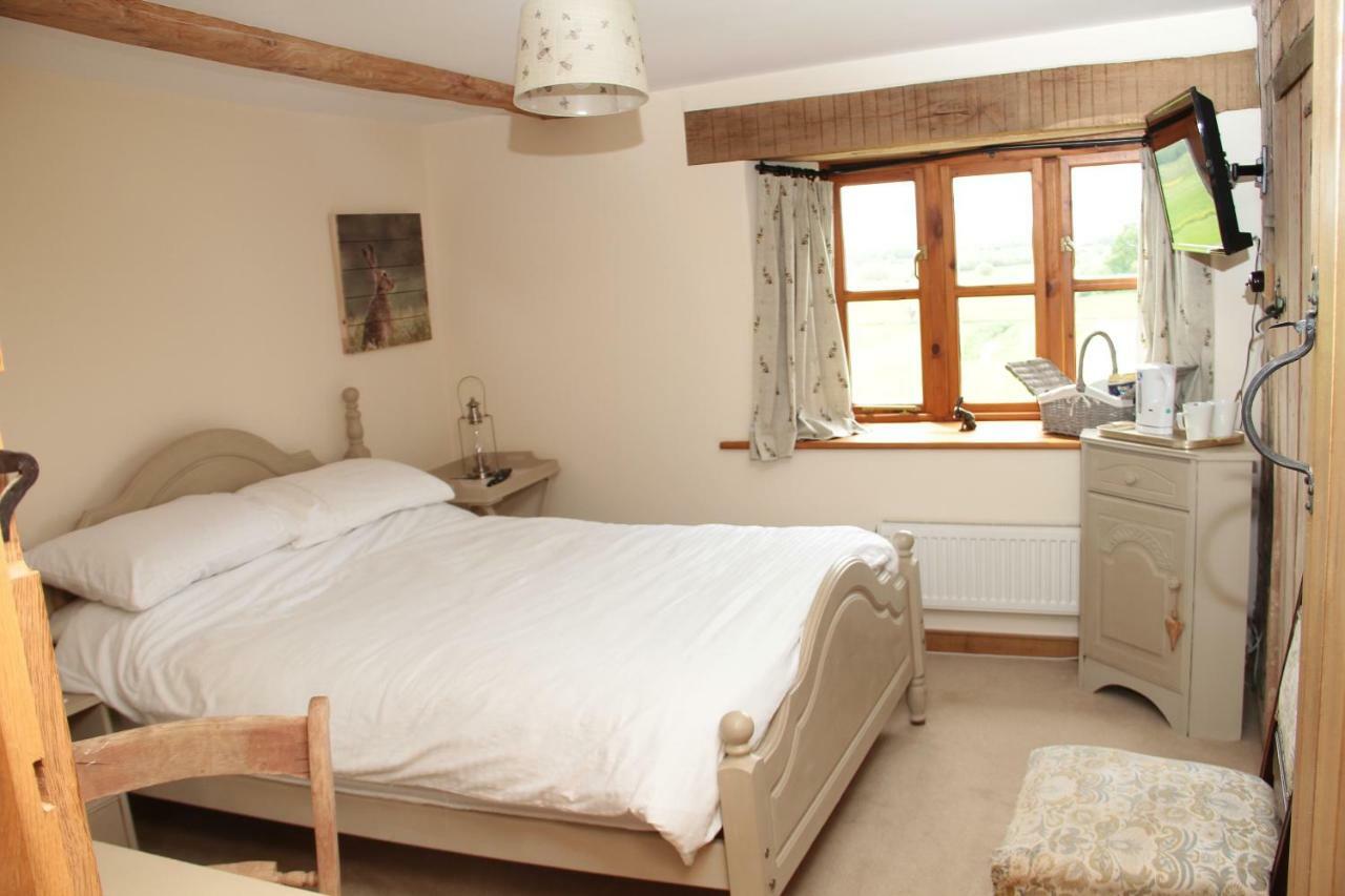 Castle Farm Bed & Breakfast Wedmore Eksteriør bilde